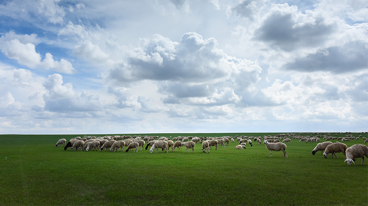 关于防雷器的挑选有哪些意见？？？？